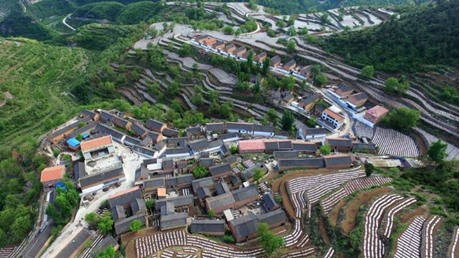 全村风貌