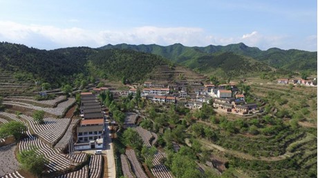全村风貌