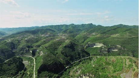 全村风貌