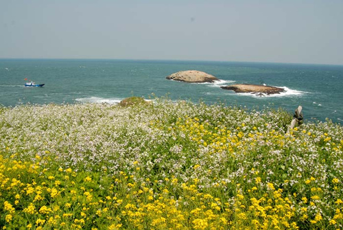 宁波南田岛