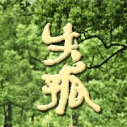 电影失孤