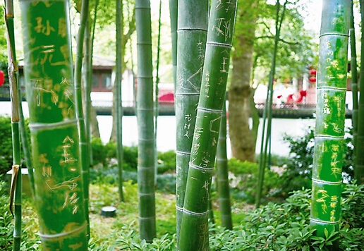 不文明出行