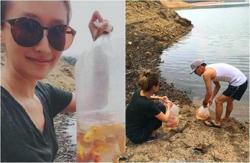 谢霆锋穿人字拖与妹妹一起在池塘边放生金鱼