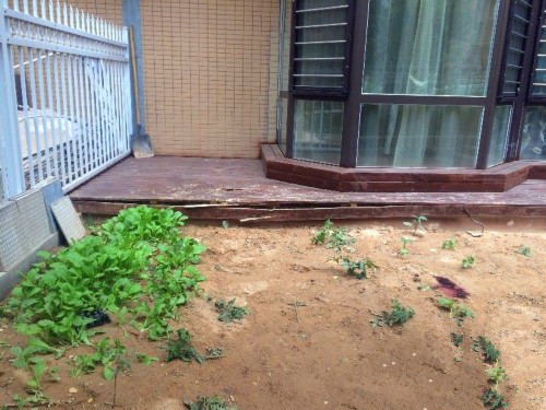 闹洞房坠楼身亡