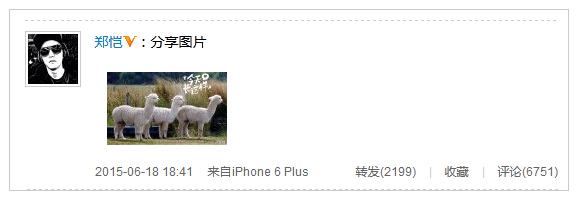 未婚郑恺躺枪出轨传闻 发草泥马似回击