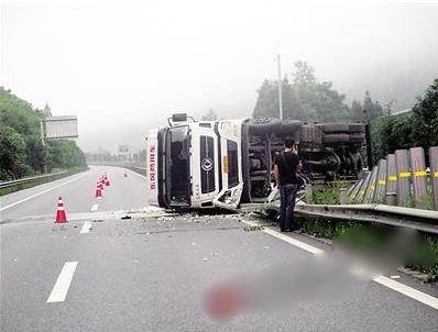 货车为躲小狗车毁人伤损失32万 司机称很后悔