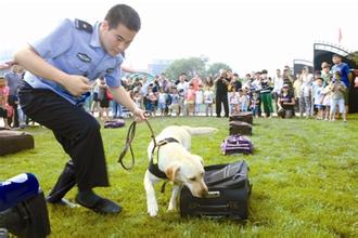 缉毒犬一分钟神速发现毒品 毒枭开价两百万索命