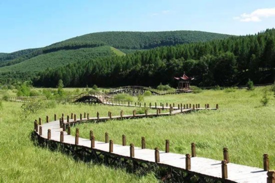毕业再见 用一场津味儿旅行致青春