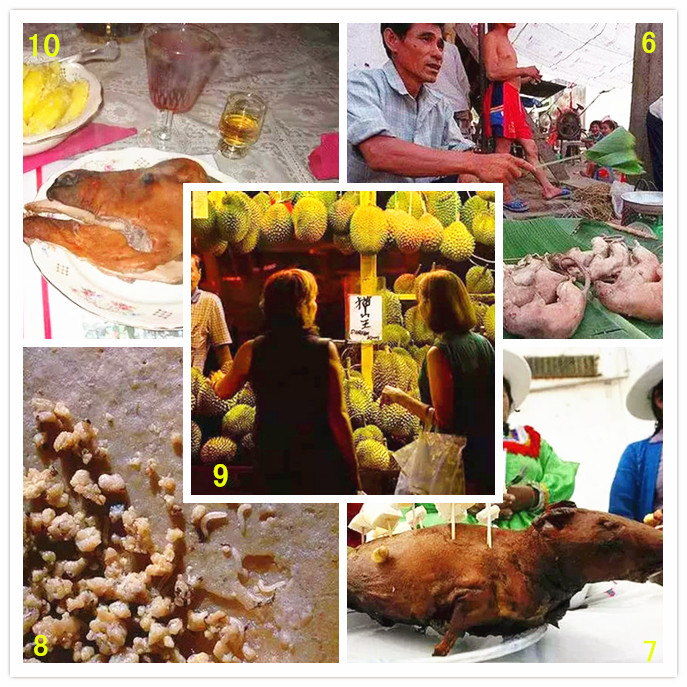 盘点全球十大食物之最 最恶心最香艳你尝过几个