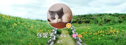 张馨予发微博