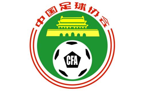 足协年底前与体育总局脱钩新足协两个月内亮相