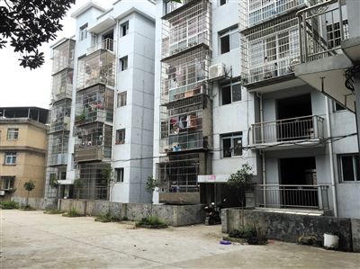 王林与弟子邹勇4年无间道始末：没想到他们把邹勇弄死了