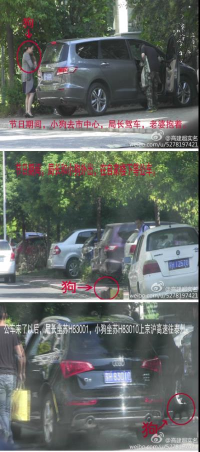“公车接小狗”公安局长被判7年 对金鹰购物卡情有独钟