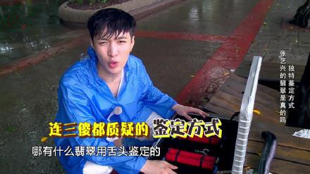 张艺兴与叶诗文互关 网友：指导下小鲜肉的泳姿