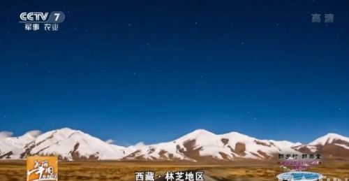 央视盗用素材事件最新进展：对不起，我们在淘宝买的