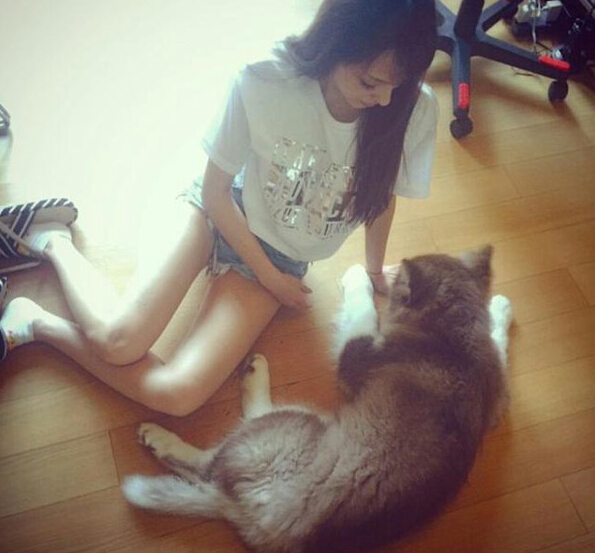 王思聪又绿了雪梨被扒小三 揭国民老公坎坷情路