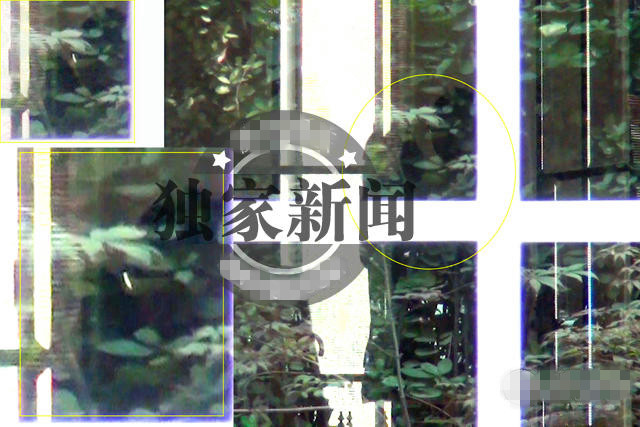 张静初恋情坐实被偷拍 家门口激吻男友正面照曝光