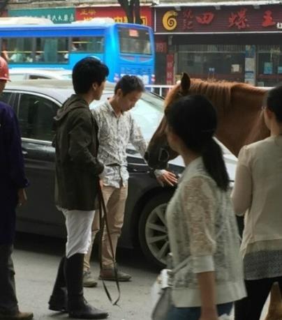 真马受惊踢坏宝马 交警：司机负全责 拐弯避让直行