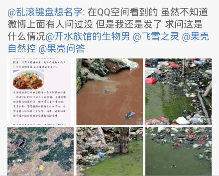 江边城外烤鱼被曝用垃圾鱼 专家：全看店家良心