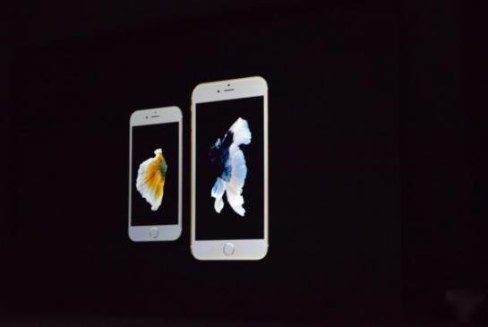 iPhone 6s水中浸泡1小时仍能正常使用 屏幕无任何水渍