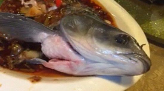 僵尸鱼