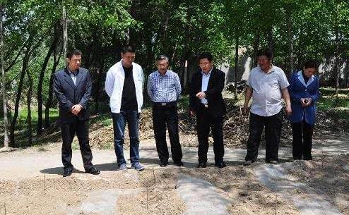 农村空降“一把手”，重点解决农民问题，村干部不再是一手遮天了