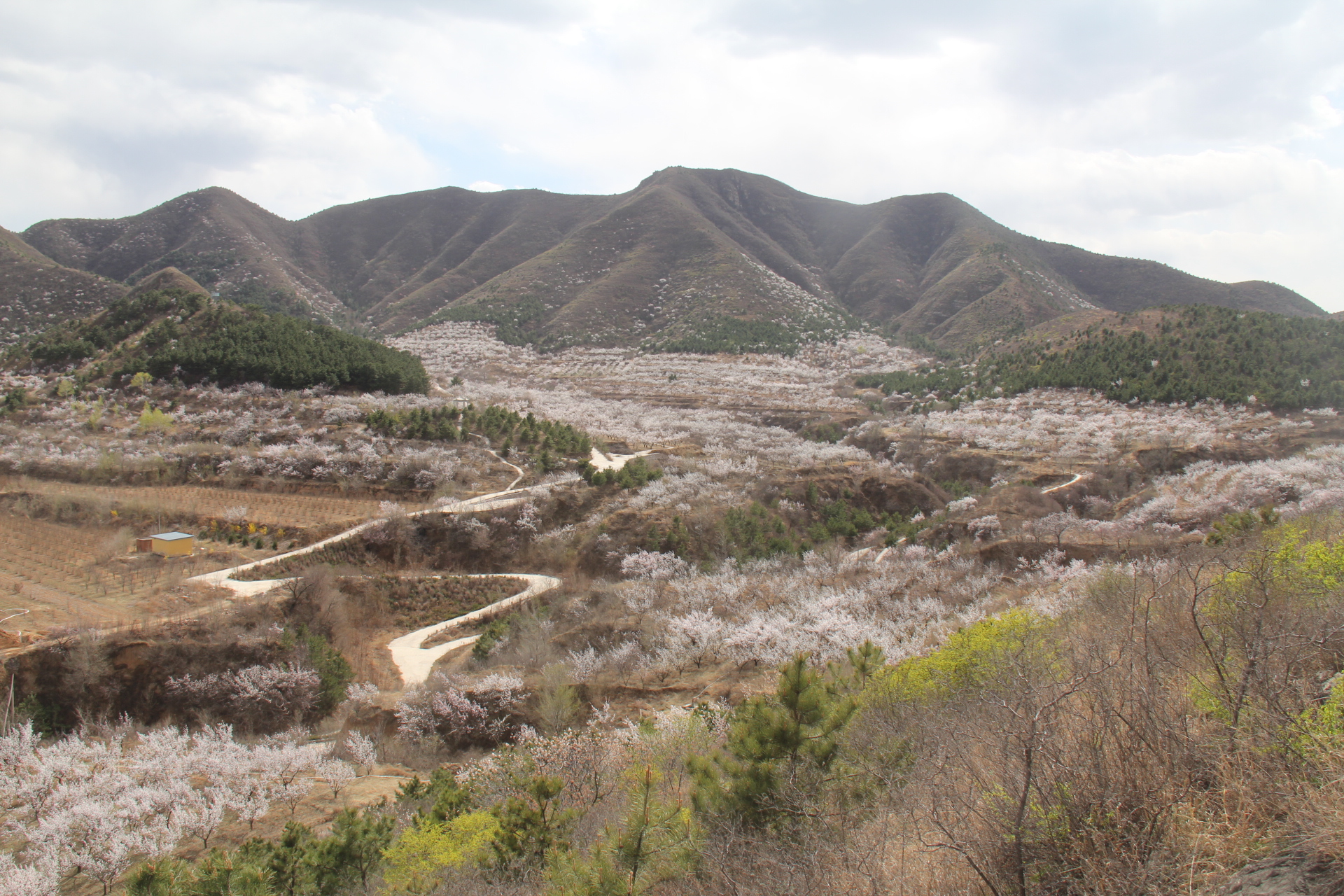 延庆贫困山村打造民宿小院，欲发展农家乐，脱贫致富