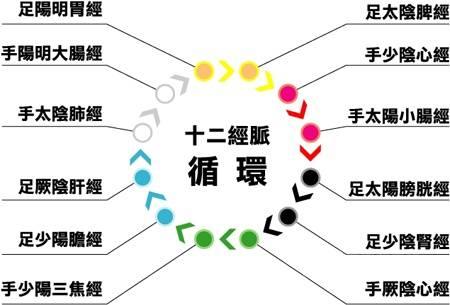 真正的中医可不是只会开药方！