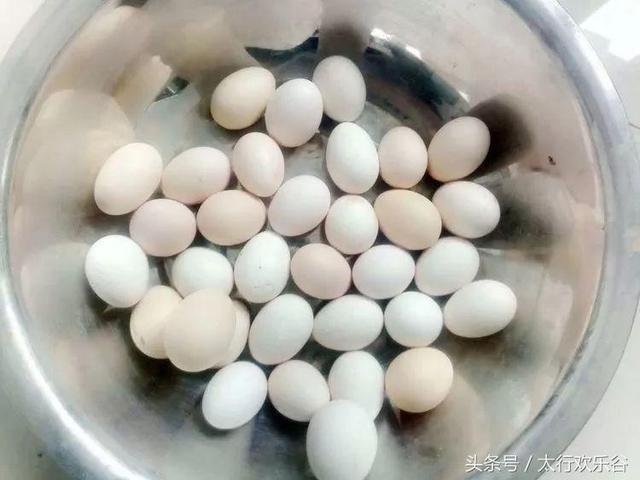 助力壶关精准脱贫，生态养殖“回车”先行！