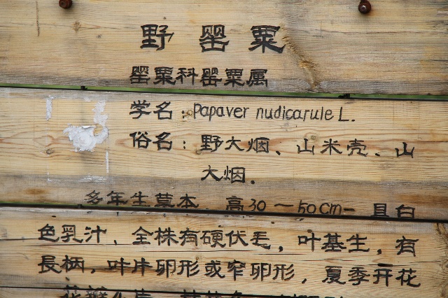 被暴雪强吻的北方边陲 漠河极寒之旅详细攻略