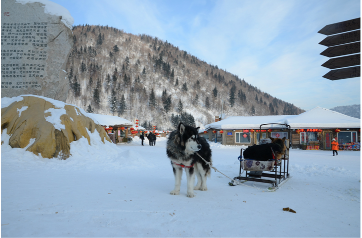 被暴雪强吻的北方边陲 漠河极寒之旅详细攻略