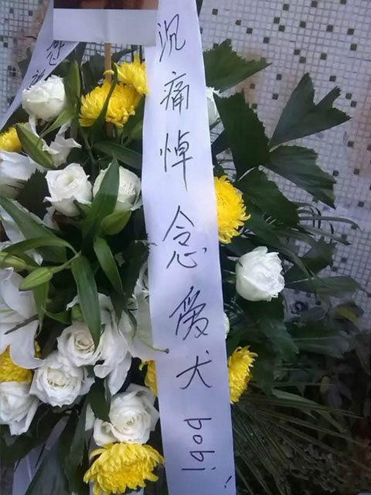 广东女子摆花圈播佛经做法事悼念爱犬 诅咒杀犬凶手