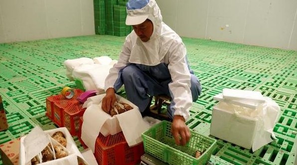 京东高铁生鲜递 携手中铁快运