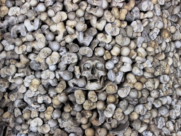 离奇盗窃案：21颗人头骨神秘丢失