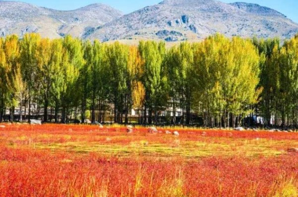 南航8月新开航线比中转至少省3小时！