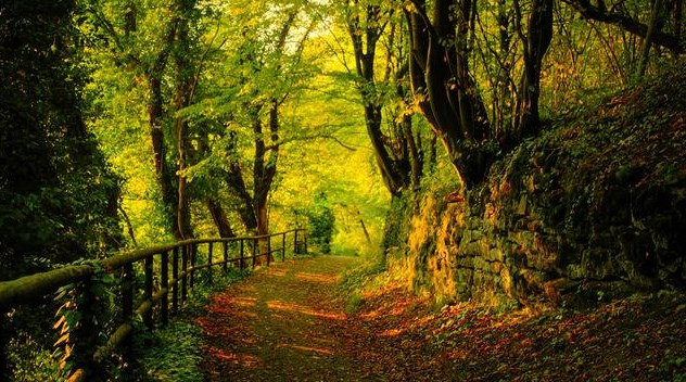 太原拓荒族商务秘书：注册公司的地址挂靠是什么意思？