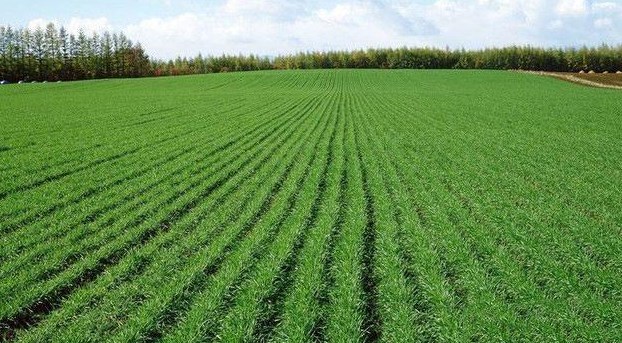 农村、城里，城里、农村