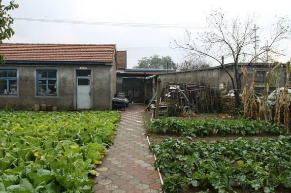 农村、城里，城里、农村