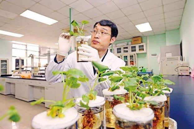 未来农业发展的新方向——功能农业