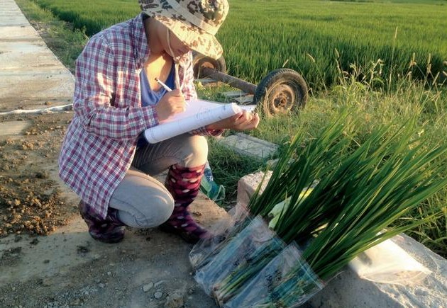 未来农业发展的新方向——功能农业