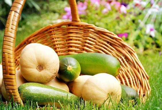 未来农业发展的新方向——功能农业