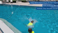 双胞胎兄弟救了溺水的3岁小宝宝