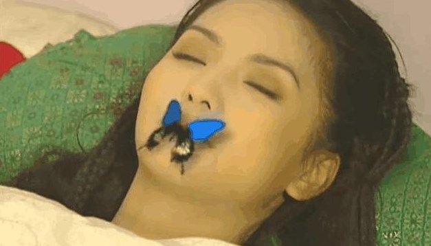 "香妃"去世18年他守墓18年