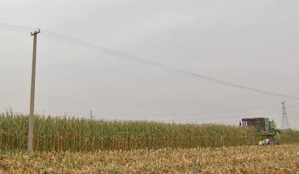 农村这三种职业最能赚钱