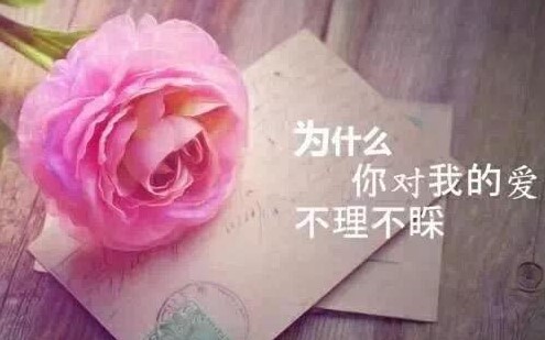 贱不过感情，凉不过人心