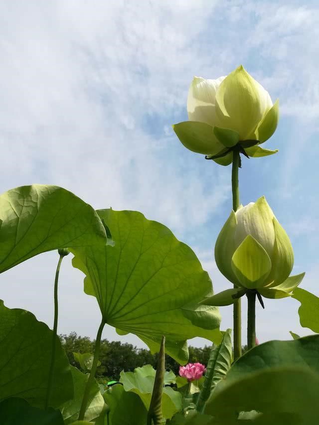 感恩生命中所有对我好的人
