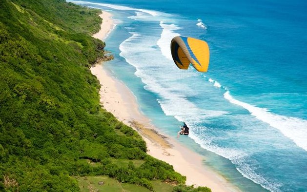 职场中最重要的不是能力