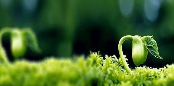 创业第一步：避开这几个大坑，不怕不成功