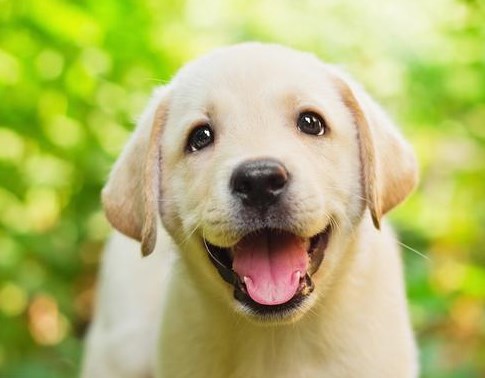 聪明人在这3件事上从不受影响不绕弯子