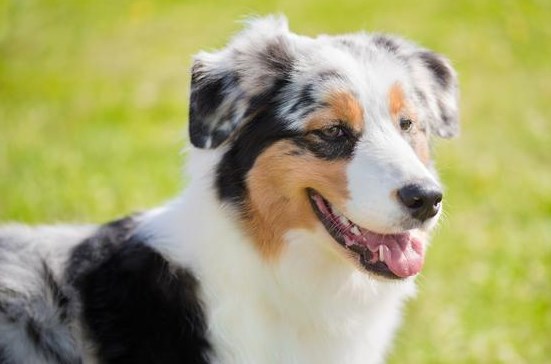 聪明人在这3件事上从不受影响不绕弯子